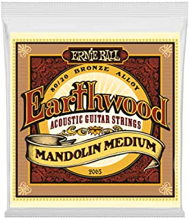 Ernie Ball Earthwood Mandolin Cuerdas para guitarra acustica de bronce medio 80-20-10-36 Calibre